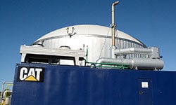 Biogas