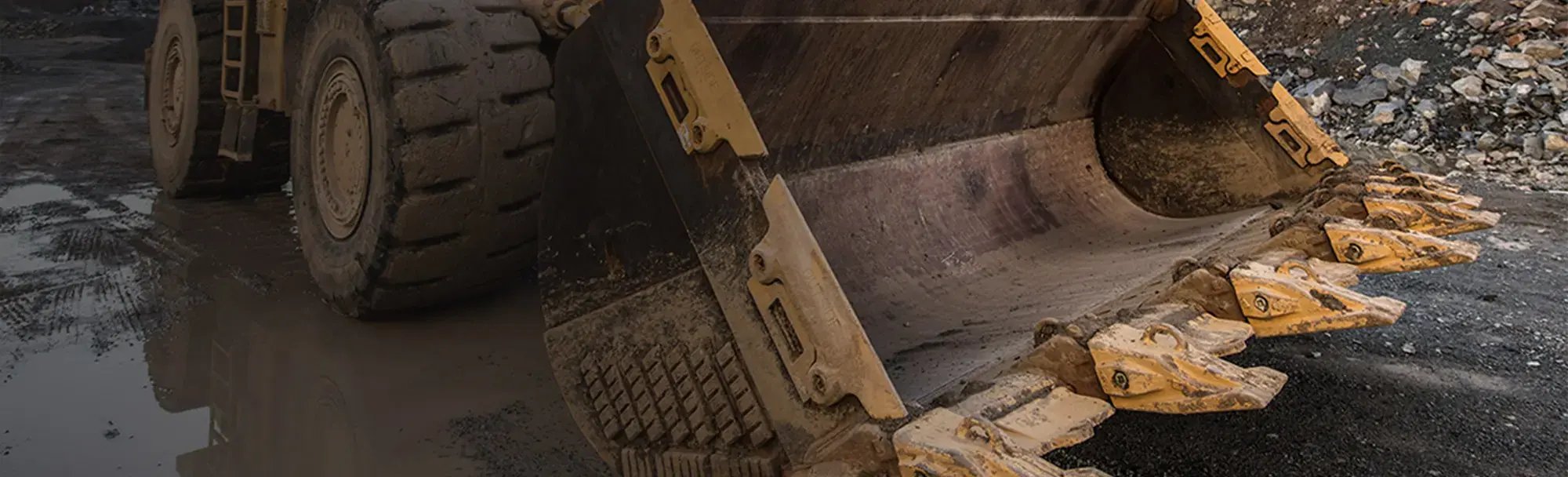 header-image.jpg