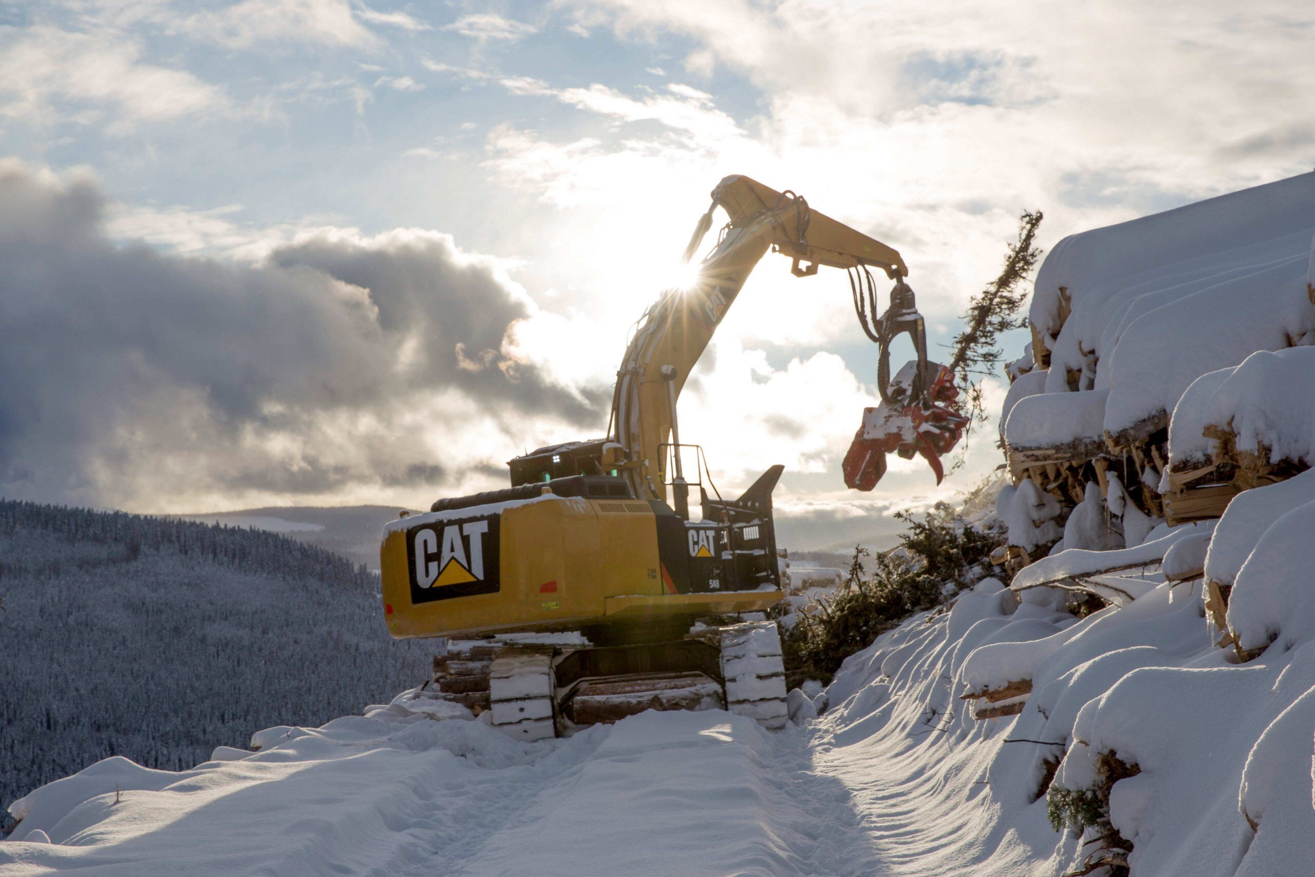 Cat equipment 