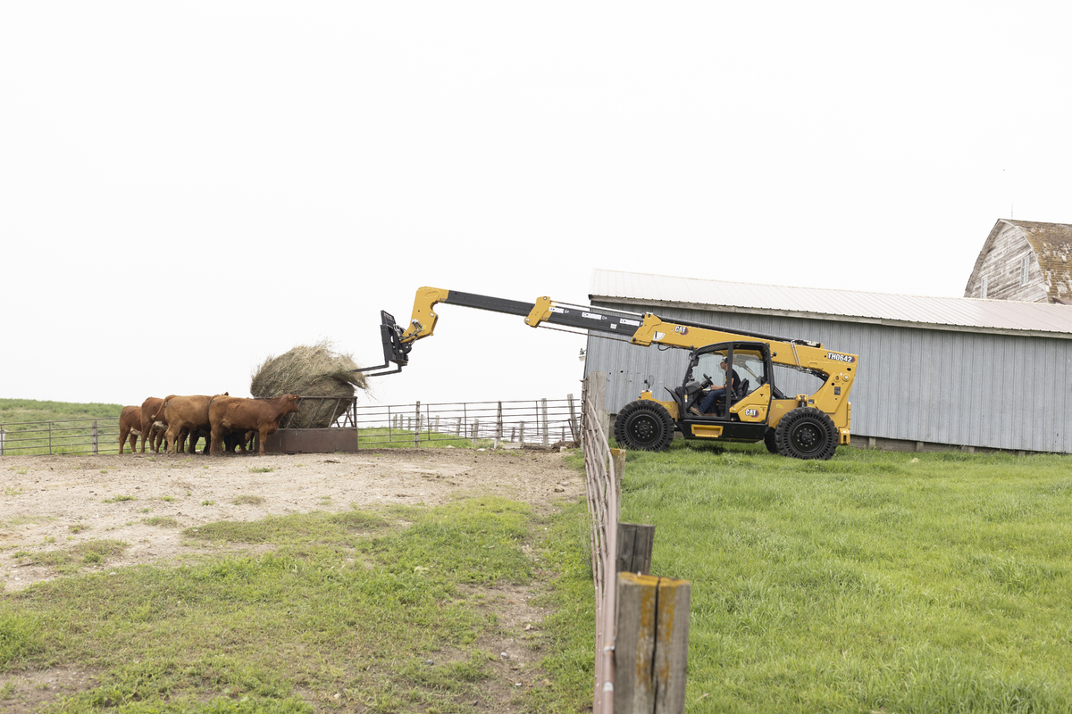 Telehandler Agriculture (7)