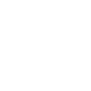 icons8-battery-100