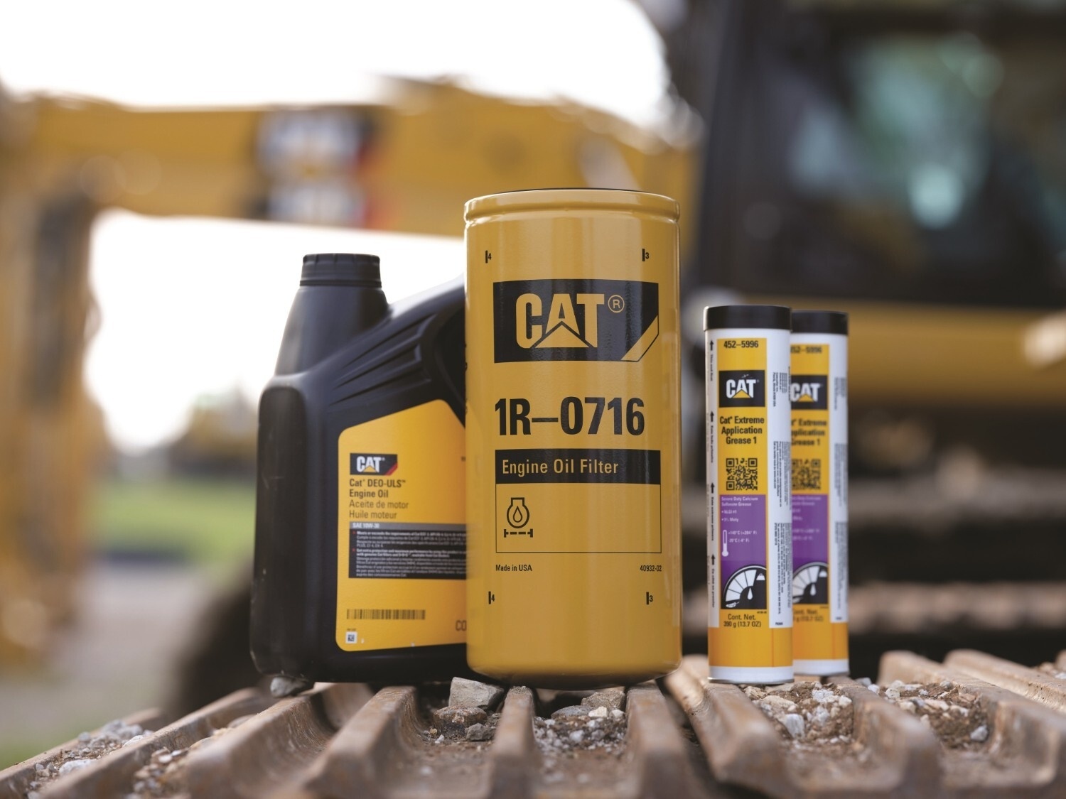 cat_201120_CatKC_DSCF2946-1